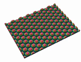 3D共軛焦顯微鏡 圖片