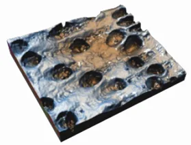 3D共軛焦顯微鏡 圖片 2