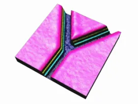 3D共軛焦顯微鏡 圖片 3