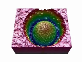 3D共軛焦顯微鏡 圖片 6